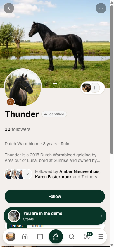 Mobiel: het openbare profiel van een paard, met volgers en tijdlijn.